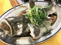 -蚝专家(北滘店)