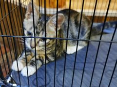 -恩你小木屋·烤肉韩式料理(嘉兴秀洲店)
