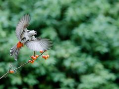 -上海市龙华烈士陵园
