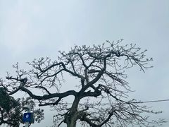 -雅憩花园餐厅