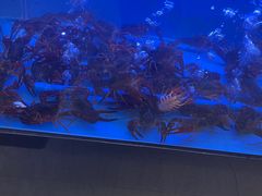 -香满锅老北京羊蝎子火锅·家常菜(新街口店)