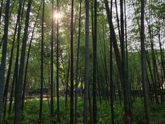 -浙江大学(玉泉校区)