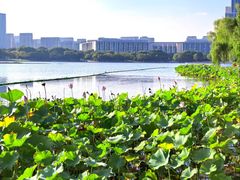-尚贤河湿地