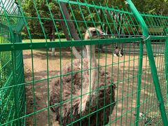 -长白岛森林公园