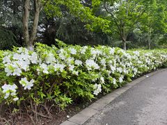 -白塘生态植物园