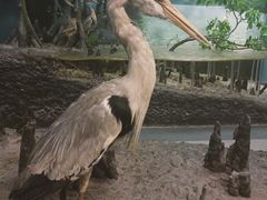 -浙江自然博物院(杭州馆)