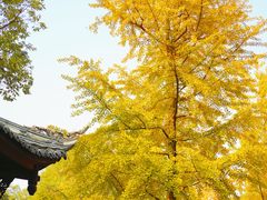 -成都杜甫草堂博物馆