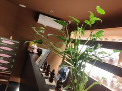 -泰·菩提树下[泰式按摩x精油SPAx肩颈头疗](新景店)