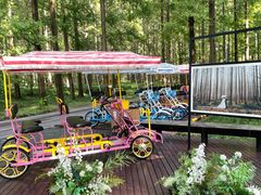 -黄海国家森林公园