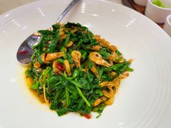 -阿庄新豫菜(航海东路店)