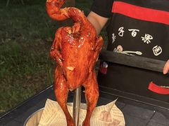 -亲子百果农庄