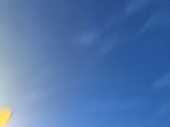 -都江堰石锅鱼
