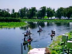 -洪湖生态旅游区