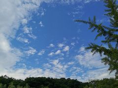 -洛阳白云山景区