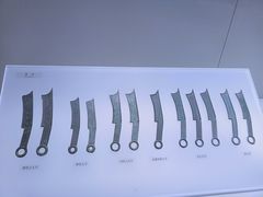 -辽宁省博物馆