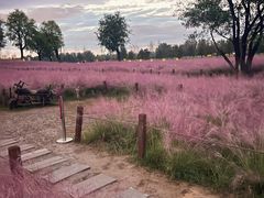 -汉长安城未央宫国家考古遗址公园