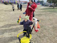 -荷兰花海