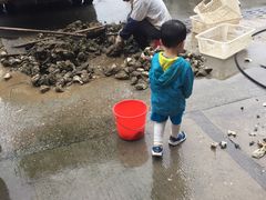 -蚝专家(北滘店)