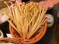 -季季山·云南野生菌火锅(上海首店)