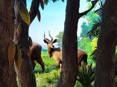 -国家自然博物馆