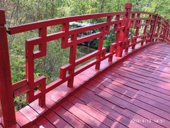 -合肥滨湖国家森林公园