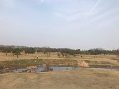 -钟山体育运动公园