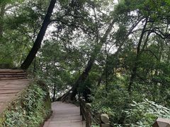 -青城山