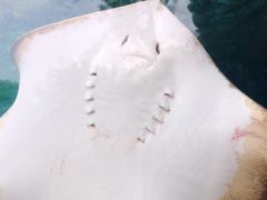 -广州海洋馆