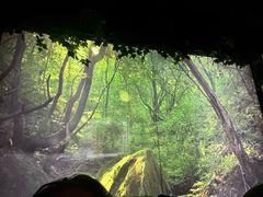 -上足·影院足道·SPA(红岭店)