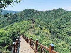 -大岭沟猕猴桃谷风景区