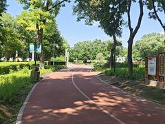-金星公园