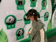 -灵玲国际马戏城