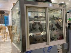 -楼上猫咖(罗湖店)