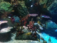 -沈阳海洋探索中心