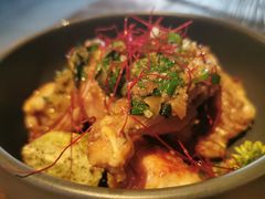 -Ocean's Table 欧舍