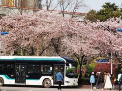 -南浦大桥长途旅游客运站