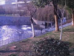 -天鹅湖体育公园