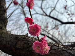 -南湖湿地公园