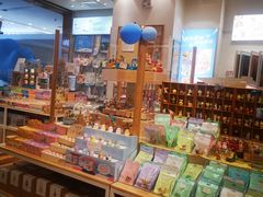 -猫的天空之城概念书店(印象城购物中心店)