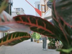 -荔湾湖公园