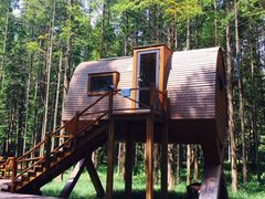 -黄海国家森林公园