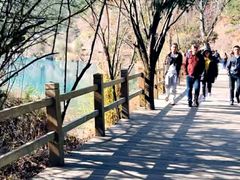 -九寨沟-树正沟