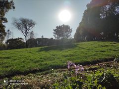 -新洲生态园
