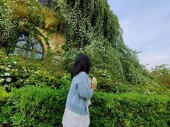 -府河摄影公园
