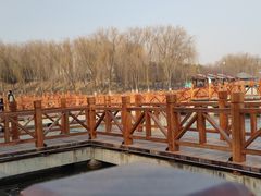 -河北省园博园