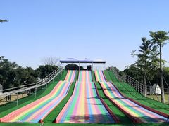 -长洲岛都市农业公园
