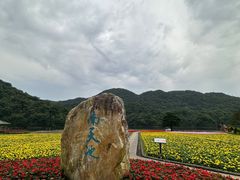 -广州市石门国家森林公园