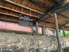 -海南槟榔谷黎苗文化旅游区