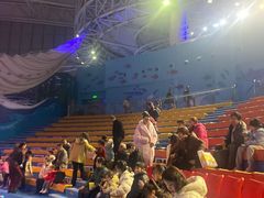 -烟台海昌鲸鲨海洋公园