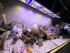 -街角等你.大连海鲜烧烤.经典铁板海鲜串(西安路店)